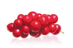 Лимонник Лимонник