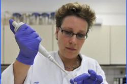 Этиотропная терапия Этиотропная терапия