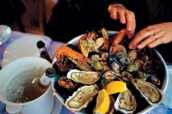 Употребление мидии Употребление мидии