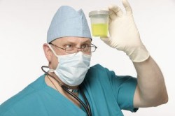 Анализ мочи Анализ мочи