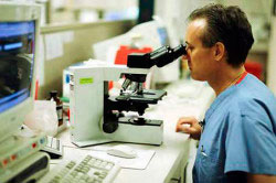 Исследование морфофизиологических показателей Исследование морфофизиологических показателей