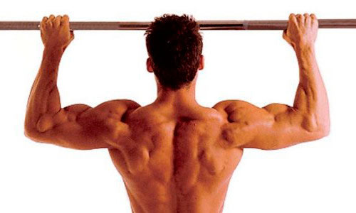 Дигидротестостерон оказывает большое влияние на мускулатуру мужчины Дигидротестостерон оказывает большое влияние на мускулатуру мужчины