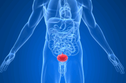 Воспалительный процесс стенок мочевого пузыря