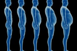 Набор веса за счет жировых отложений Набор веса за счет жировых отложений