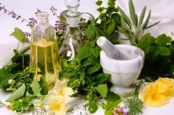 Травы для нормализации аденомы Травы для нормализации аденомы