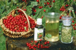 Народные методы Народные методы