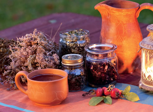 Средства народной медицины Средства народной медицины