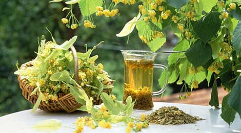 Народные средства для повышения потенции Народные средства для повышения потенции