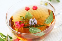 Настой из мяты от простуды Настой из мяты от простуды