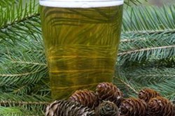 Настой сосны Настой сосны