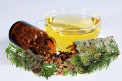 Настой из коры лиственницы Настой из коры лиственницы