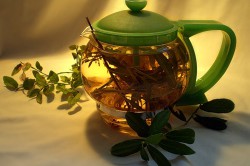 Отвар из осиновой коры для лечения простатита Отвар из осиновой коры для лечения простатита