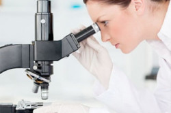 Наличие лейкоцитов в сперме Наличие лейкоцитов в сперме