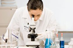 Лабораторные исследования