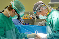 Хирургическое вмешательство Хирургическое вмешательство