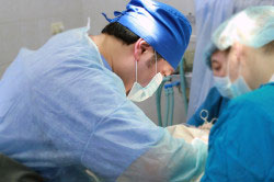 Операция Несьита