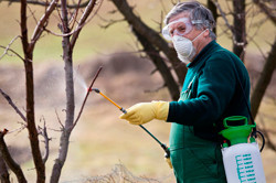 Обработка овощей и фруктов гербицидами Обработка овощей и фруктов гербицидами