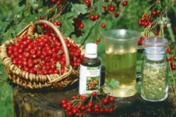 Отвары от облысения Отвары от облысения