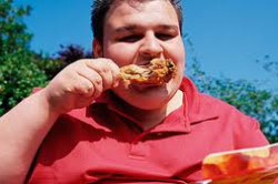 Ожирение из-за высококалорийной пищи Ожирение из-за высококалорийной пищи