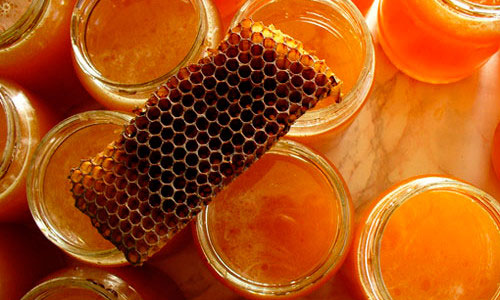 Пчелиный прополис 