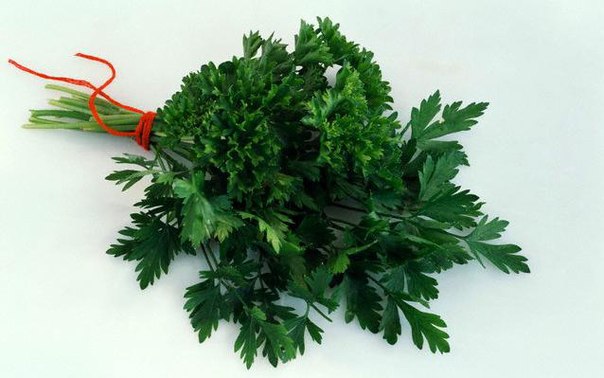 Петрушка Петрушка