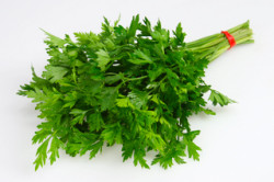 Петрушка Петрушка