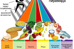 Пирамида здорового питания Пирамида здорового питания