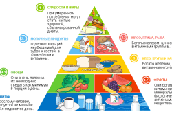 Пищевая пирамида питания Пищевая пирамида питания