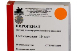 Прием пирогенала перед взятием мазка Прием пирогенала перед взятием мазка