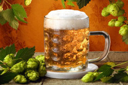 Пиво запрещено при подагре Пиво запрещено при подагре