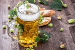 Кружка пива Кружка пива