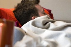 Половой покой Половой покой