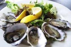 Мидии - природный афродизиак Мидии - природный афродизиак