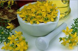 Отвар из цветков чистотела Отвар из цветков чистотела