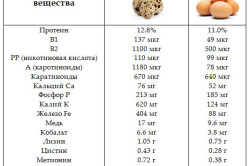 Польза перепелиных яиц Польза перепелиных яиц