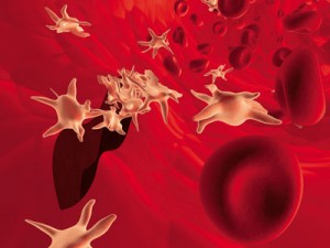 Пониженный уровень тромбоцитов в крови Пониженный уровень тромбоцитов в крови