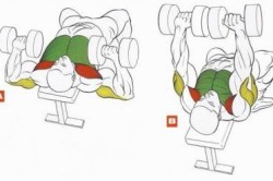 Рисунок 1. Порядок осуществления упражнения Рисунок 1. Порядок осуществления упражнения