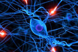 Поражение нервной системы Поражение нервной системы