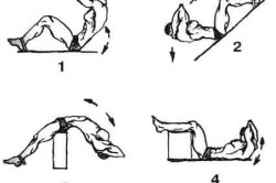 Упражнения для пресса Упражнения для пресса