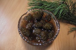 Отвар из сосновых шишек Отвар из сосновых шишек