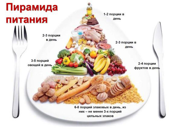 Рисунок 3. Пирамида питания Рисунок 3. Пирамида питания