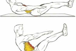 Упражнения на пресс Упражнения на пресс