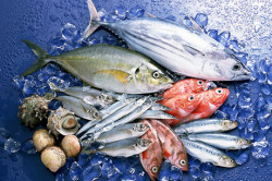 Морепродукты Морепродукты