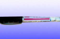 Эффективный мужской возбудитель: правда о некоторых препаратах