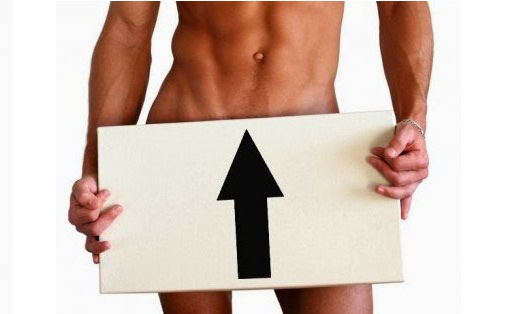 Сальные железы на половых органах Сальные железы на половых органах