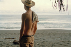 Исключение попадания прямых солнечных лучей Исключение попадания прямых солнечных лучей