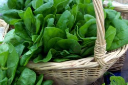 Польза шпината