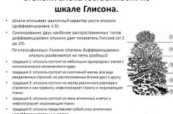 Шкала Глисона для определения уровня злокачественности опухоли Шкала Глисона для определения уровня злокачественности опухоли