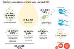 Нормы ВОЗ Нормы ВОЗ