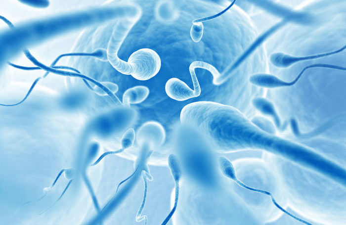 Проблемы со сперматозоидами у мужчин Проблемы со сперматозоидами у мужчин